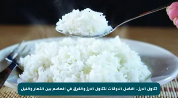 تناول الأرز.. أفضل الأوقات لتناول الأرز والفرق في الهضم بين النهار والليل